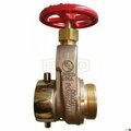 Dixon Single Hydrant Gate Valve with Hand Wheel, 2-1/2 x 2-1/2 in Nominal, FNST NH x MNST NH End Style UHGV250F-D